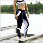 Limited Edition Mesh Pattern Printed Leggings